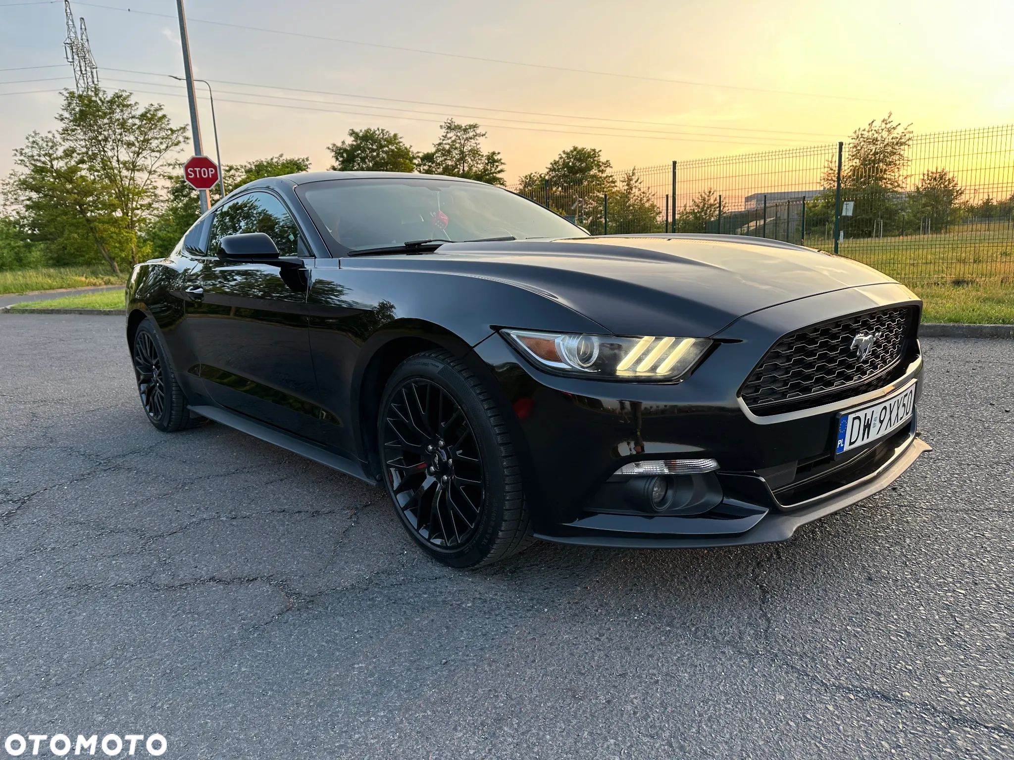 Ford Mustang - 1