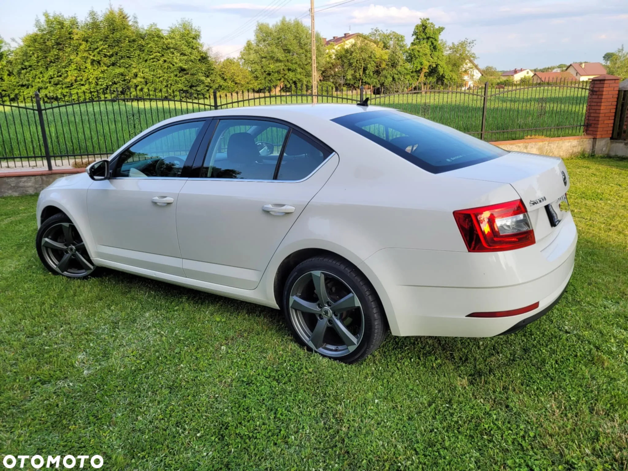 Skoda Octavia - 3