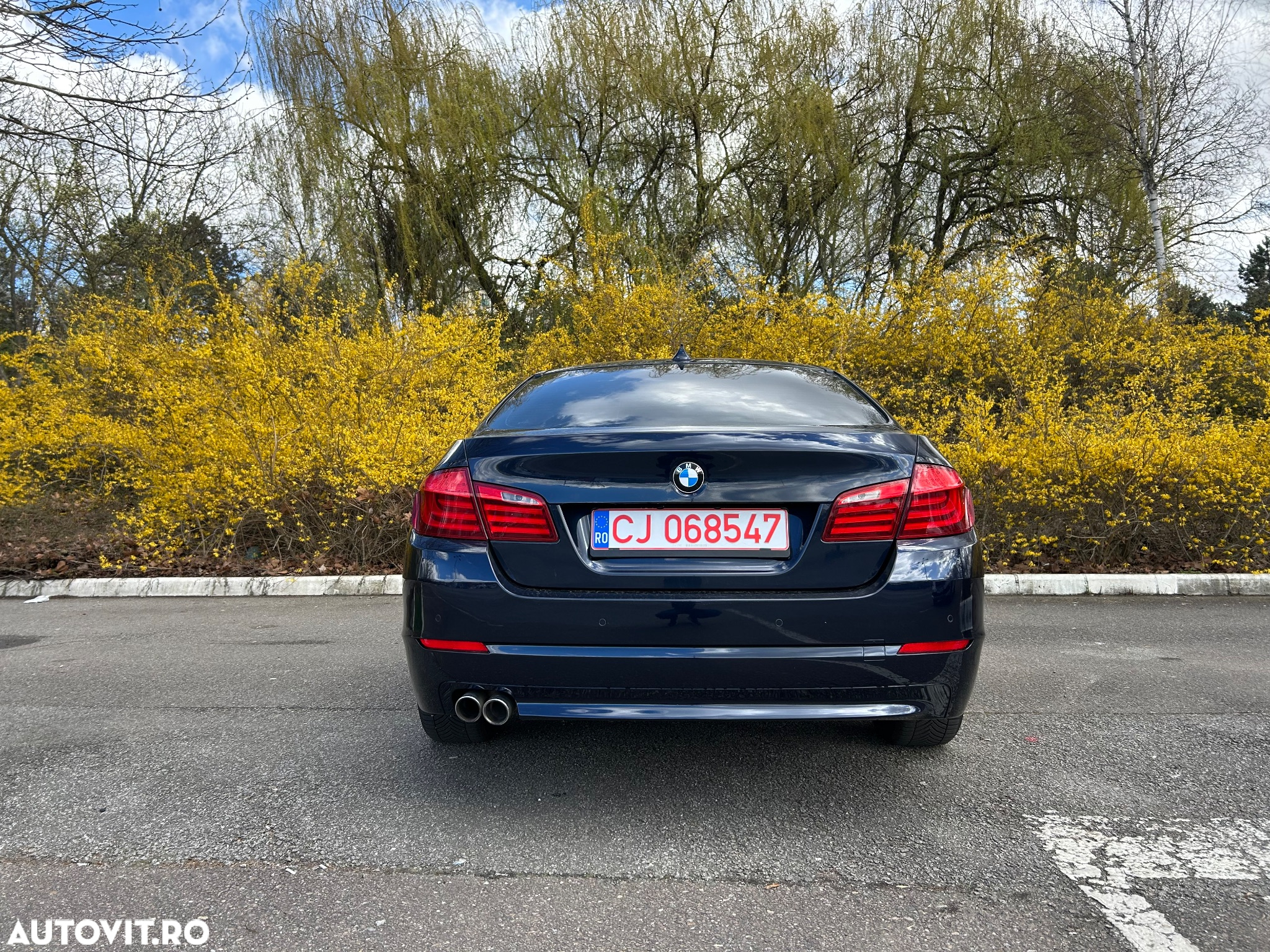 BMW Seria 5 520d Aut. - 12