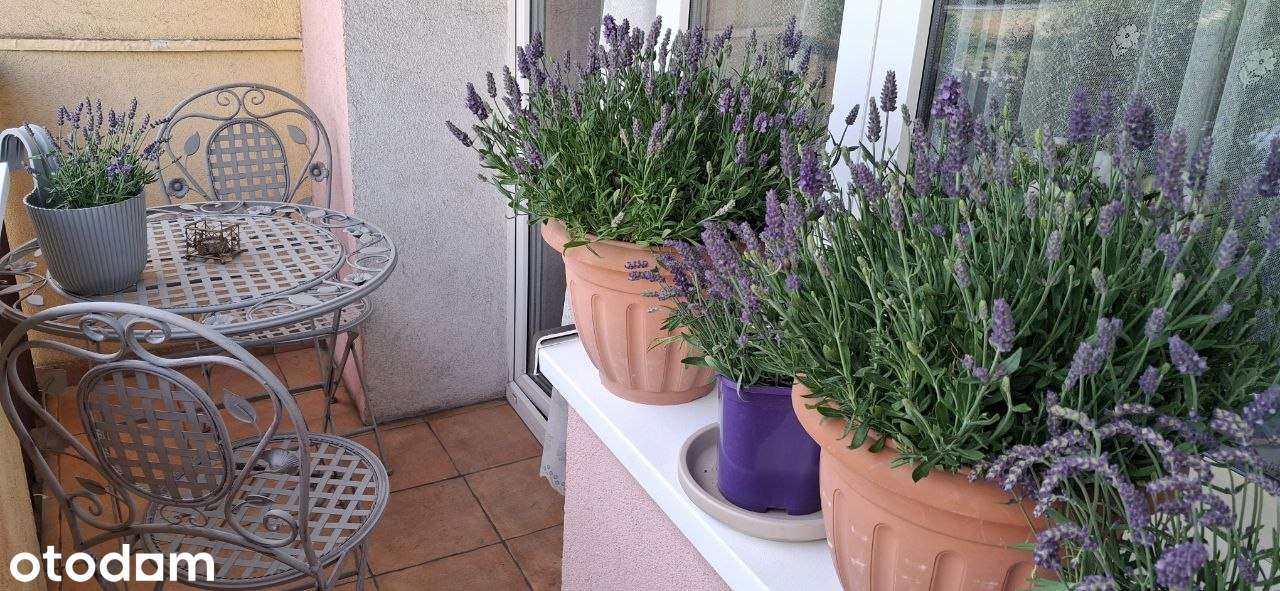 SPRZEDAM: Mieszkanie 48 m² Szczecin Pomorzany (BEZ POŚREDNIKÓW)