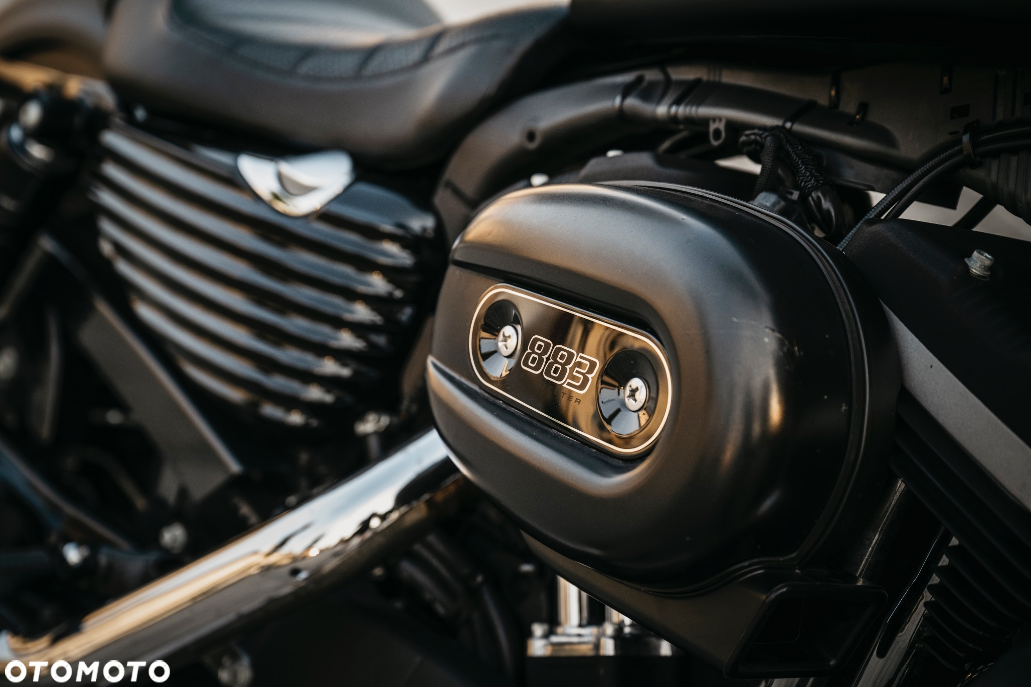Harley-Davidson Sportster Iron 883 - 20