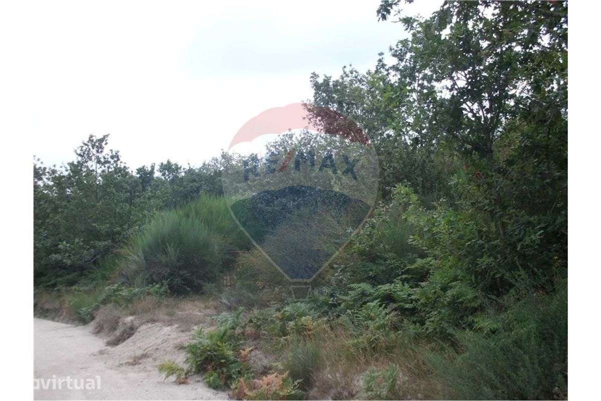 Terreno T0 para venda - Grande imagem: 2/10