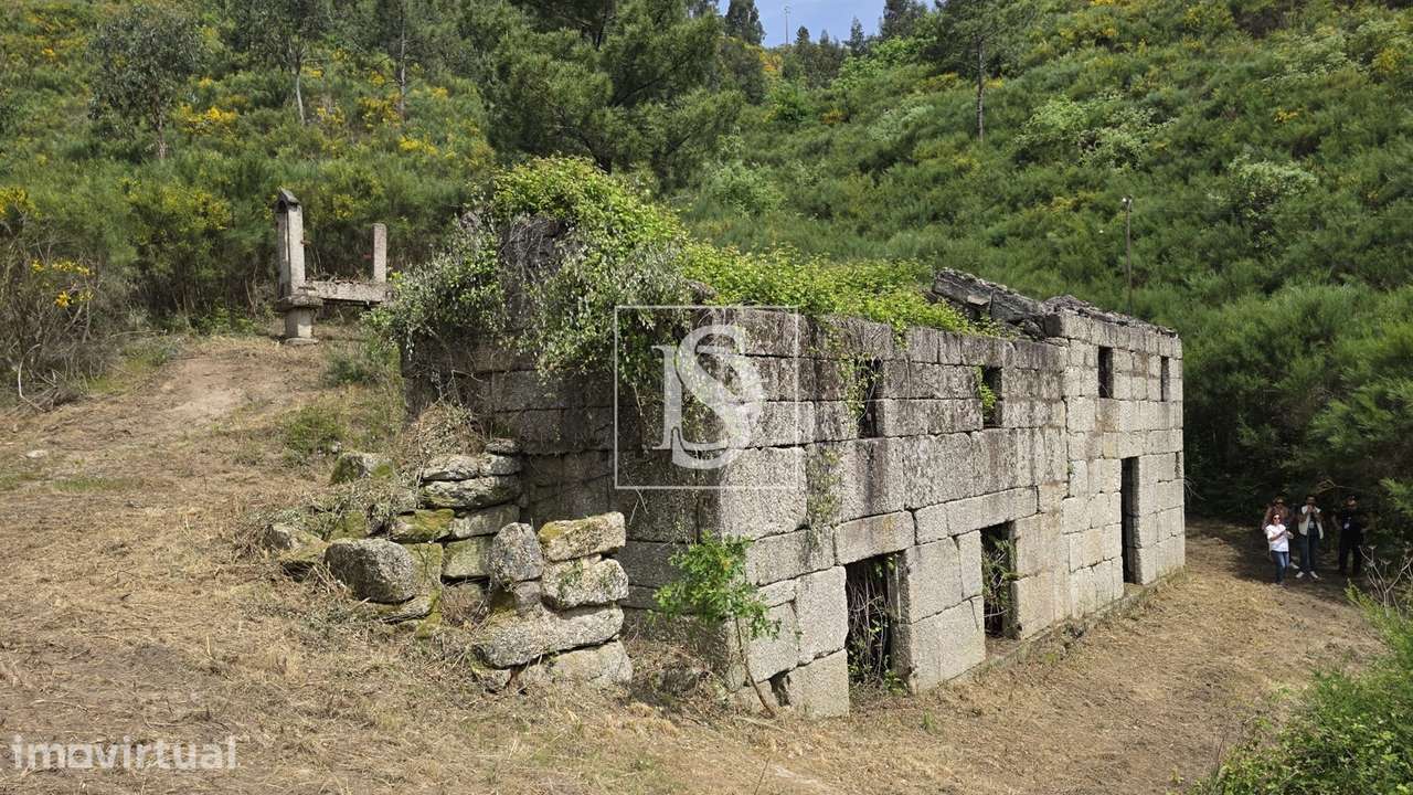 Quinta da Pinha em Bustelo - Amarante - Grande imagem: 3/22