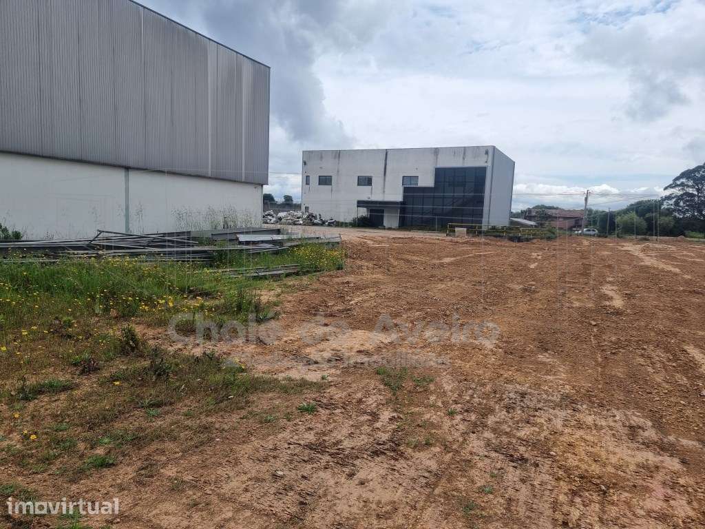 Armazém Industrial (Albergaria-a-Velha) - Grande imagem: 4/9