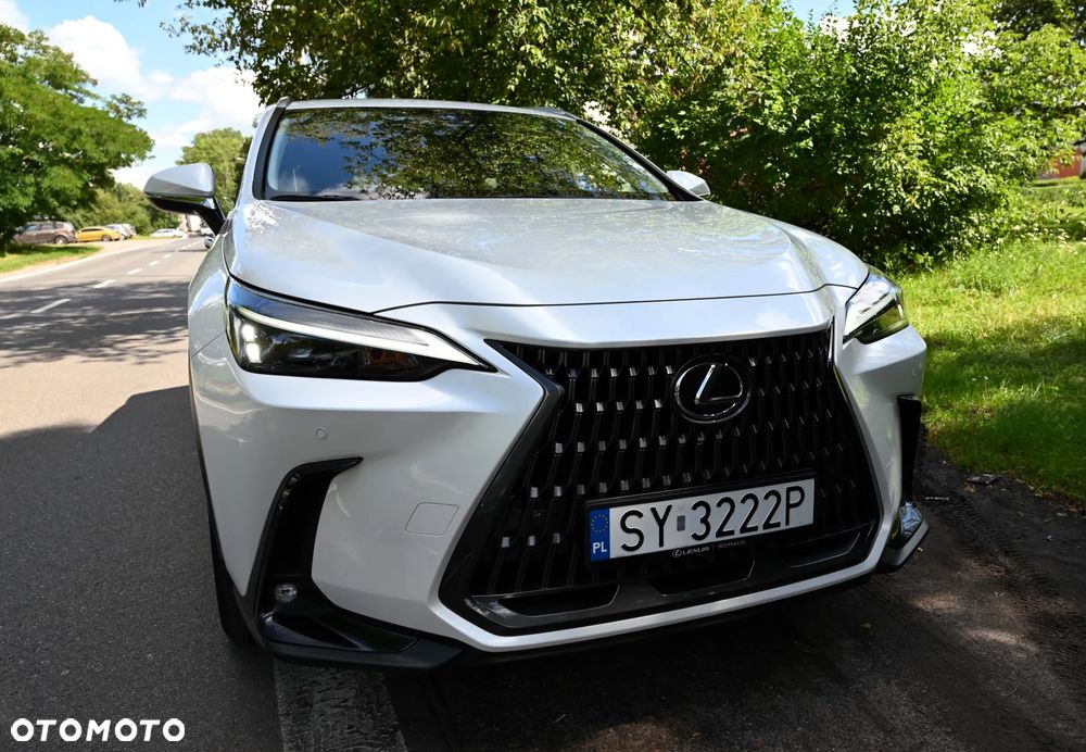 Lexus NX - 8