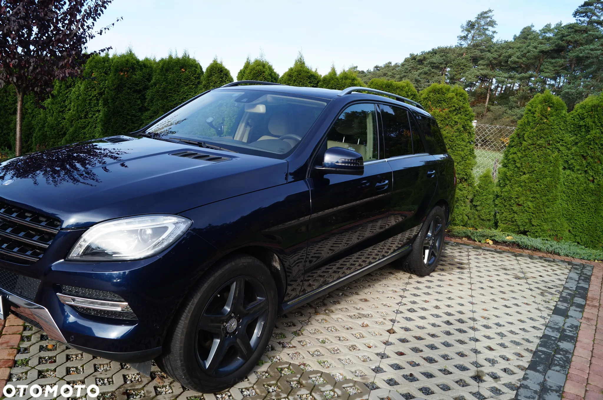 Mercedes-Benz ML 350 BlueTec 4-Matic - 6