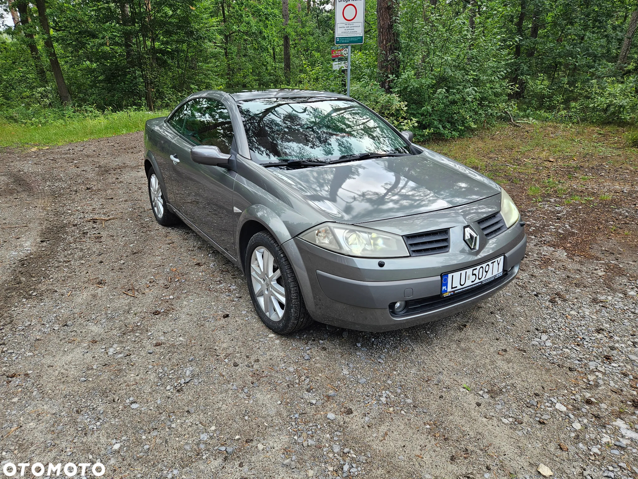 Renault Megane CC 2.0 16V Privilege - 13