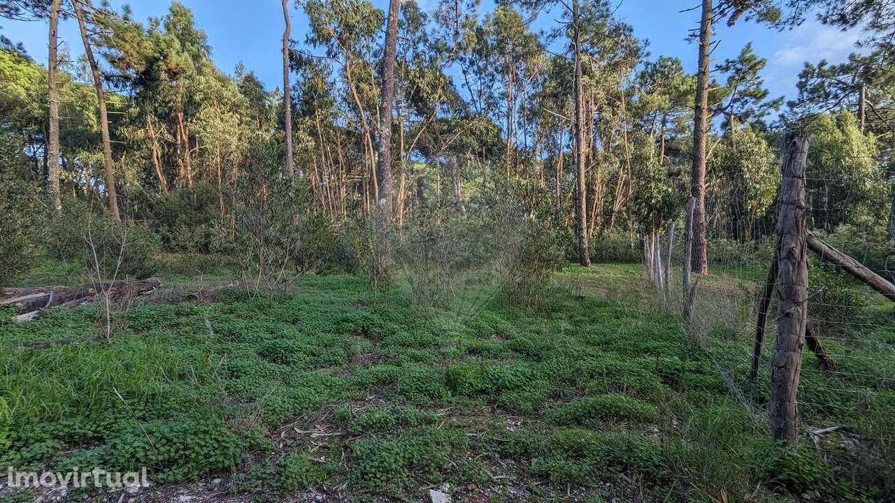 Terreno  para venda - Grande imagem: 3/19