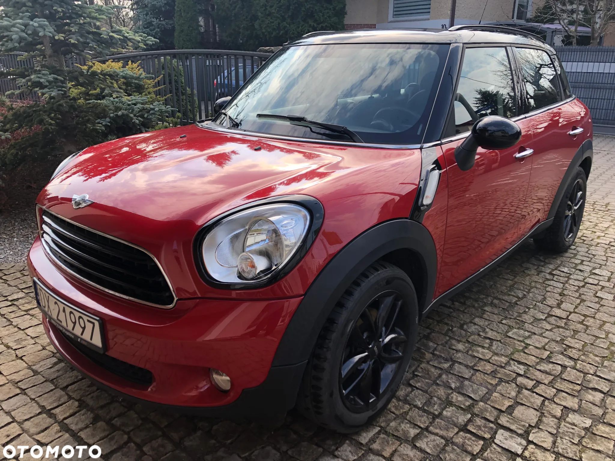 MINI Countryman Cooper D - 1