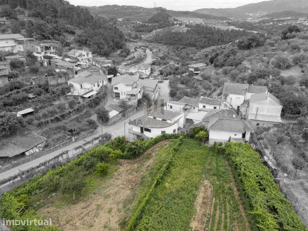 TERRENO RUSTICO | 1400m2 Planos | Salzedas - Grande imagem: 3/7