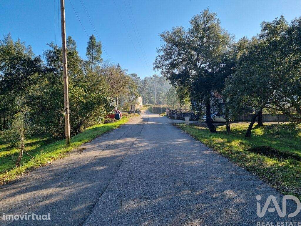 Terreno para construção em Poiares - Grande imagem: 3/40