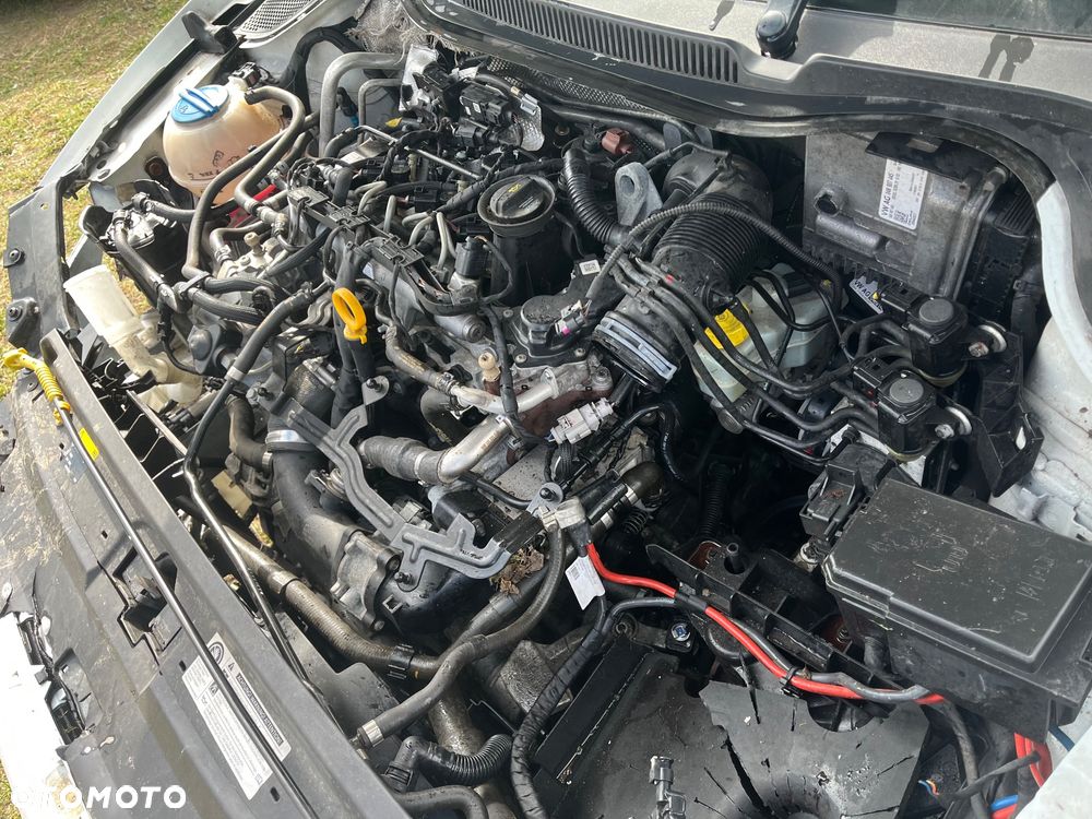 Volkswagen Polo 1.4 TDI BlueMotion - 17