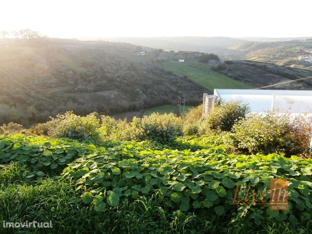 Terreno Misto para Construção de Armazém - Grande imagem: 3/10