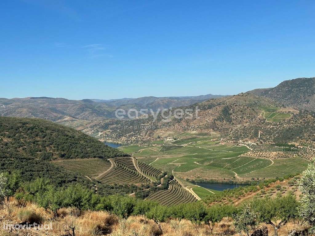 Magnifico Terreno Agrícola com 226810 m2 na região do Douro Superior. - Grande imagem: 2/22