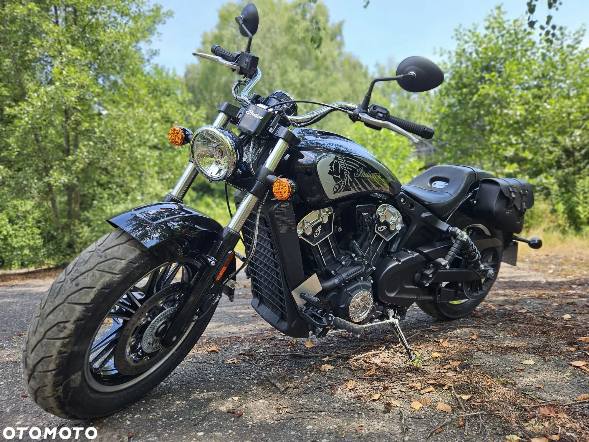 Indian Scout - 1