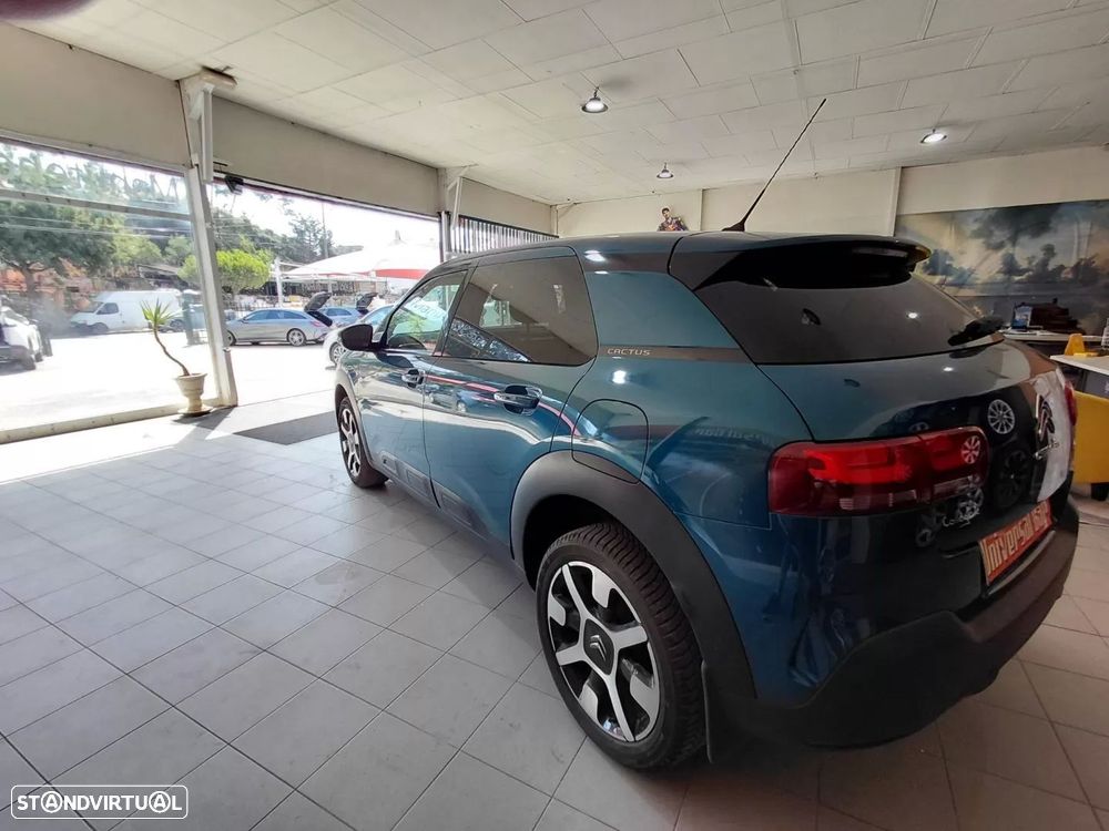 Citroën C4 Cactus 1.2 PureTech Rip Curl - 5