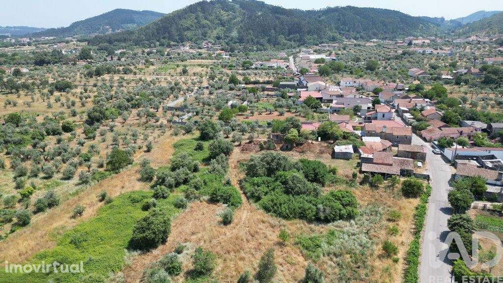 Quinta em Chão de Couce de 72,00 m2 - Grande imagem: 3/25