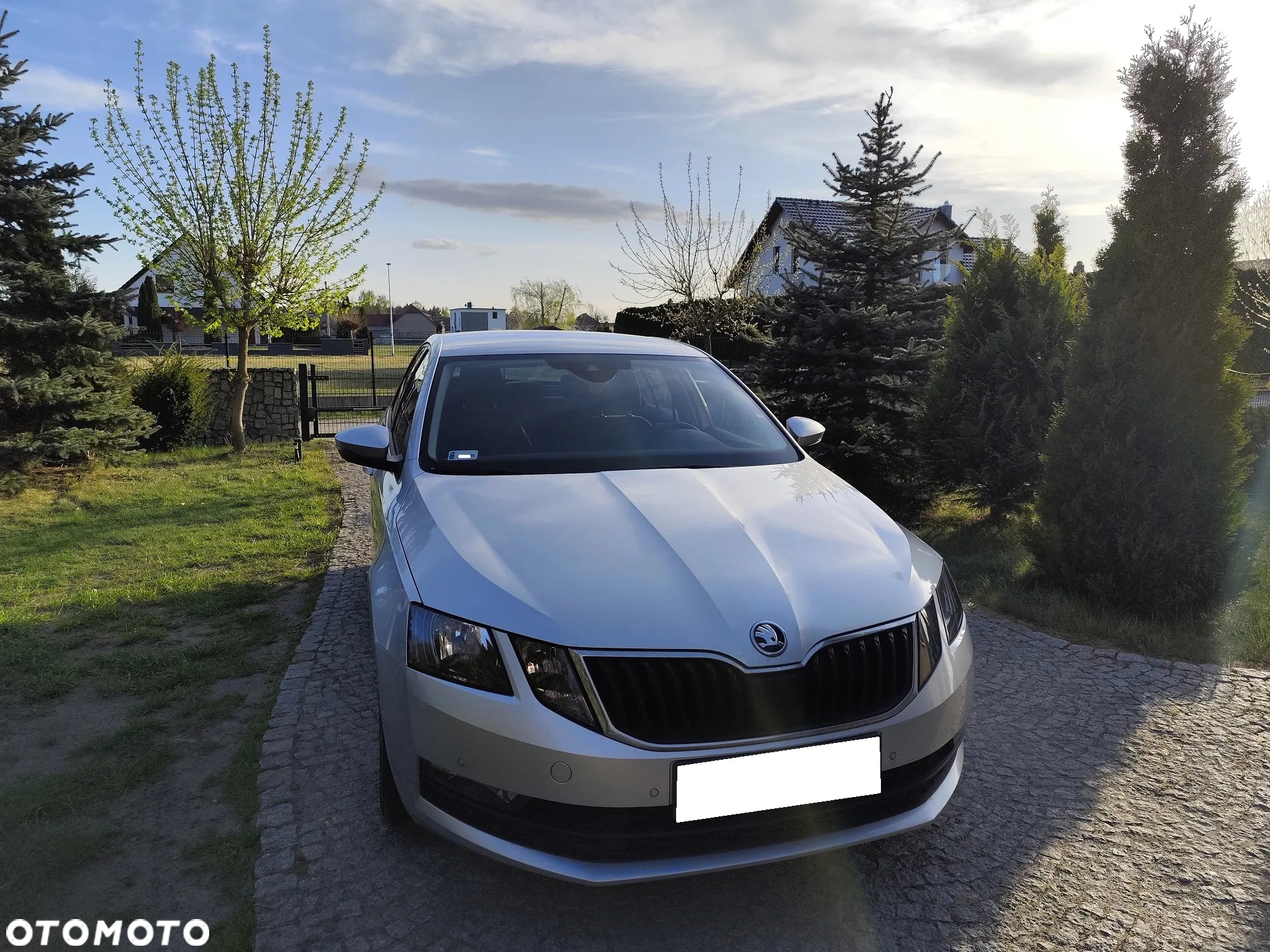 Skoda Octavia - 4