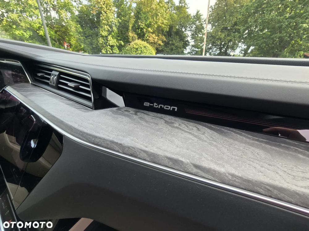 Audi e-tron 55 Quattro S Line - 27