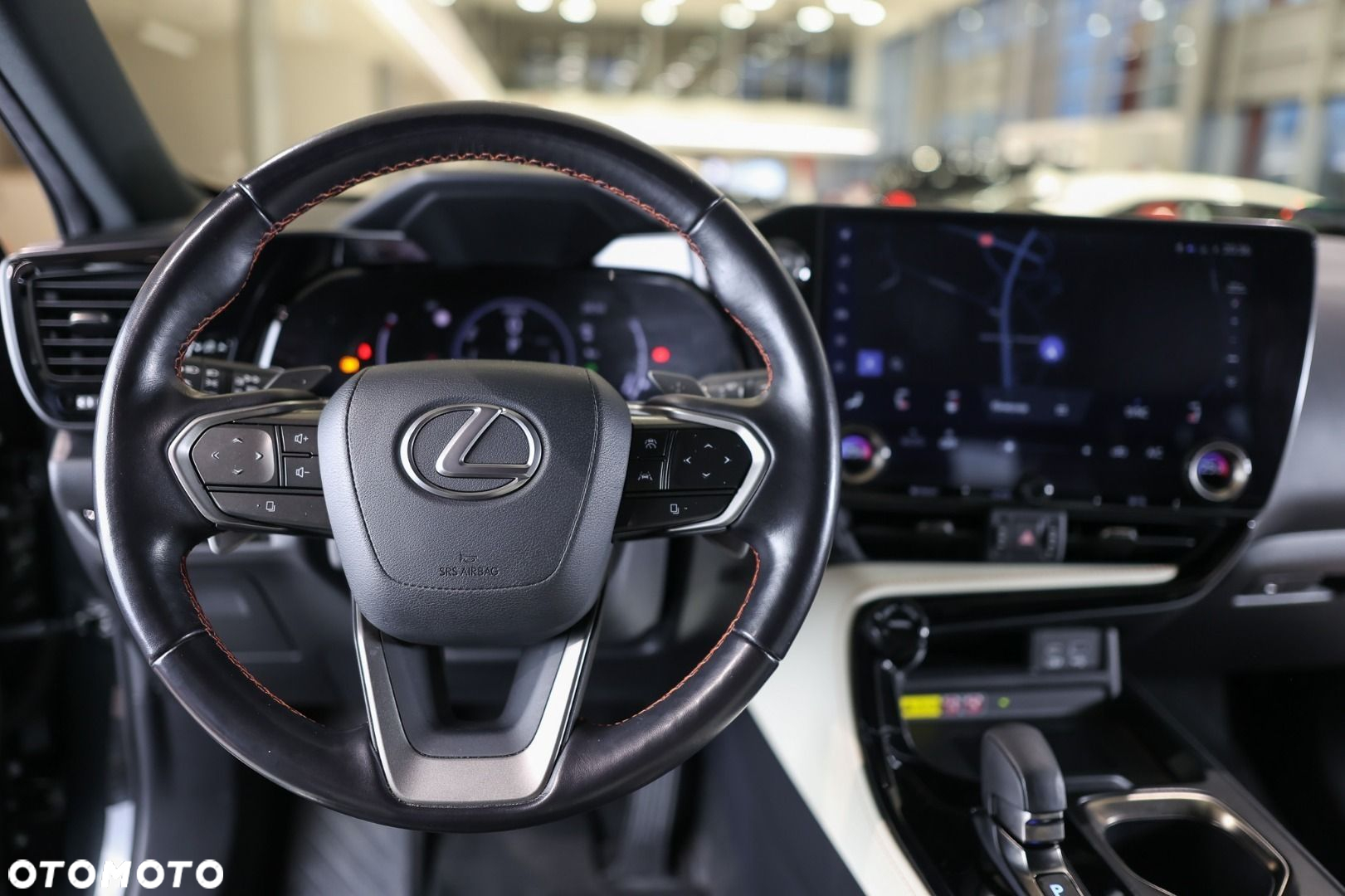 Lexus NX - 13