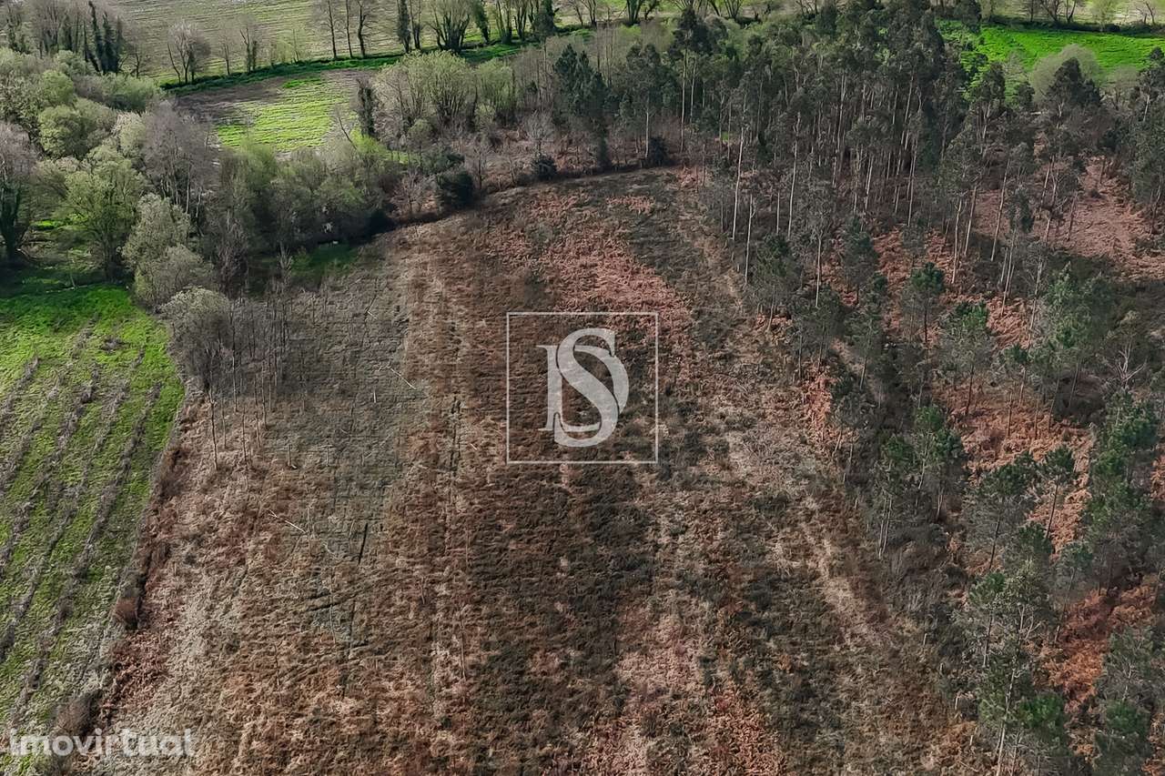 Terreno Rústico  Venda em Associação de freguesias do Vale do Neiva,Po - Grande imagem: 4/30