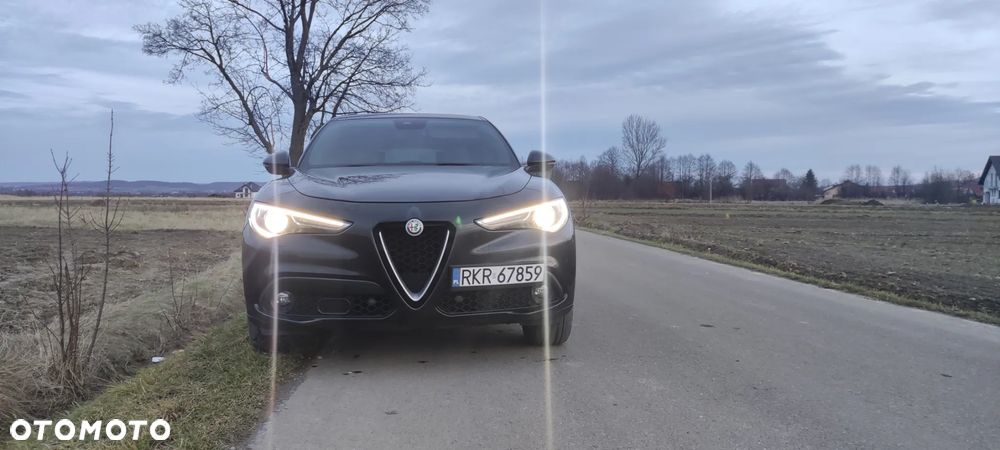 Alfa Romeo Stelvio 2.2 16V AT8-Q4 Executive - 1