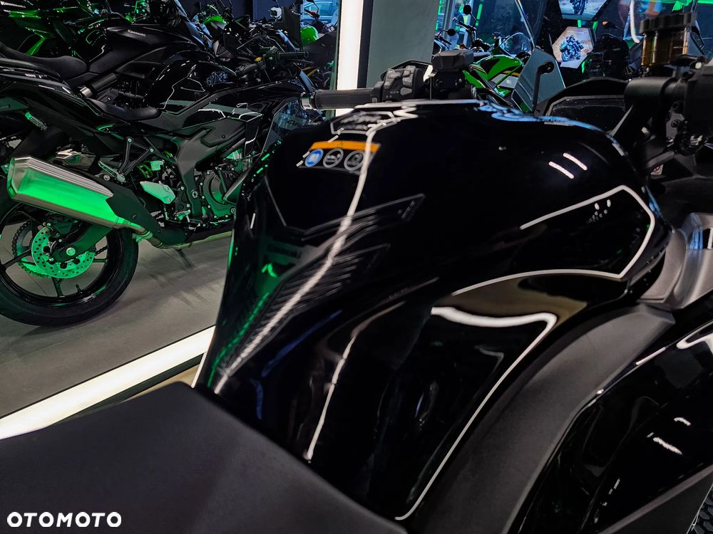 Kawasaki Ninja 1000 SX - 6