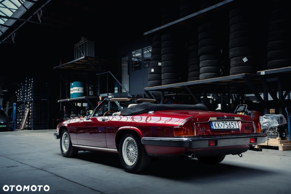 Jaguar XJS - 26