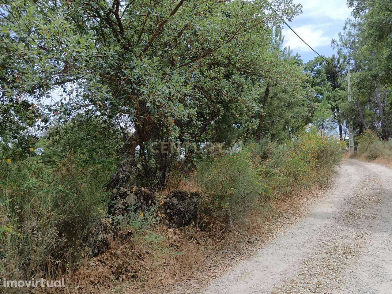 Terreno rústico, Palvarinho, Castelo Branco - Grande imagem: 5/11