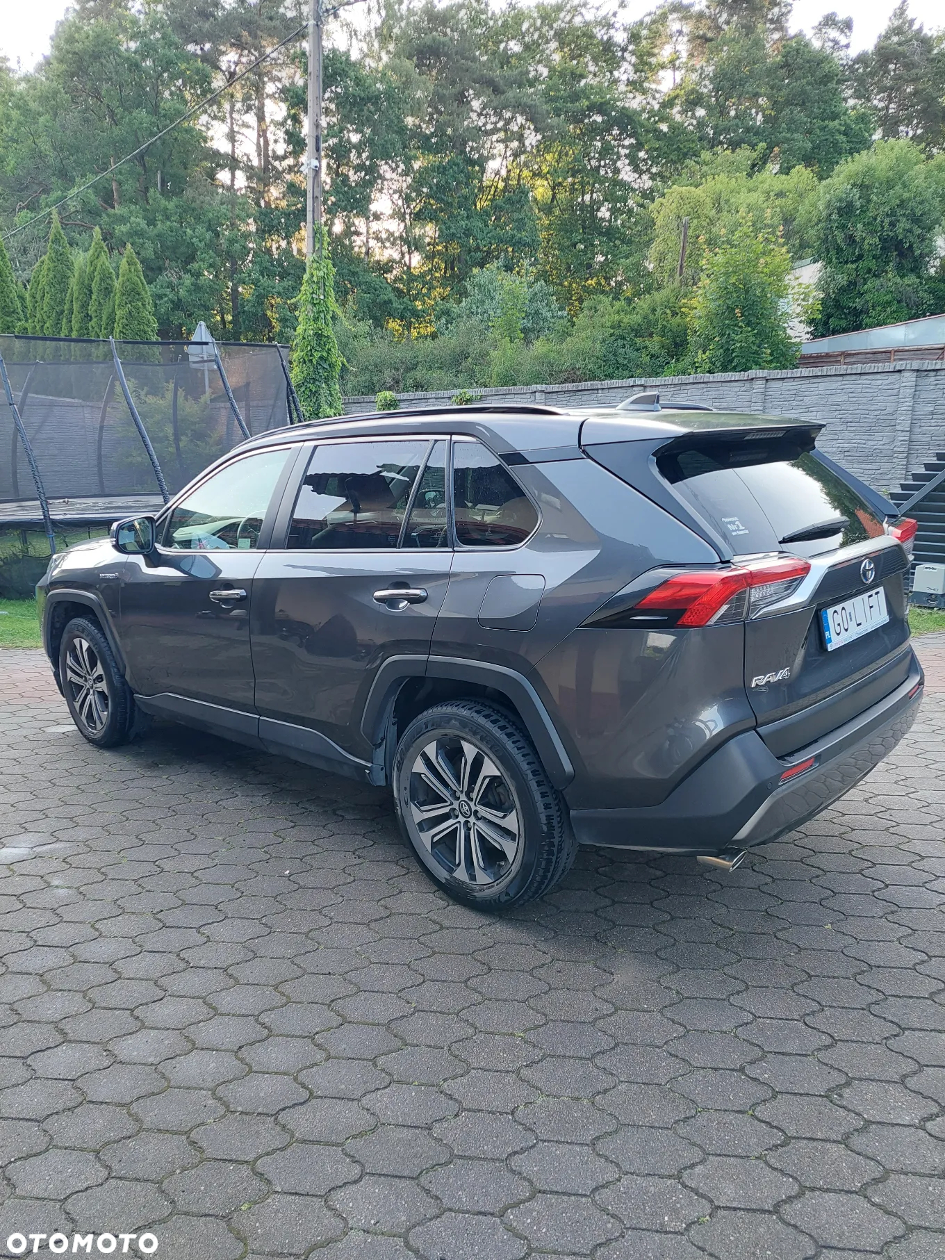 Toyota RAV4 2.5 Hybrid Executive 4x4 - 2