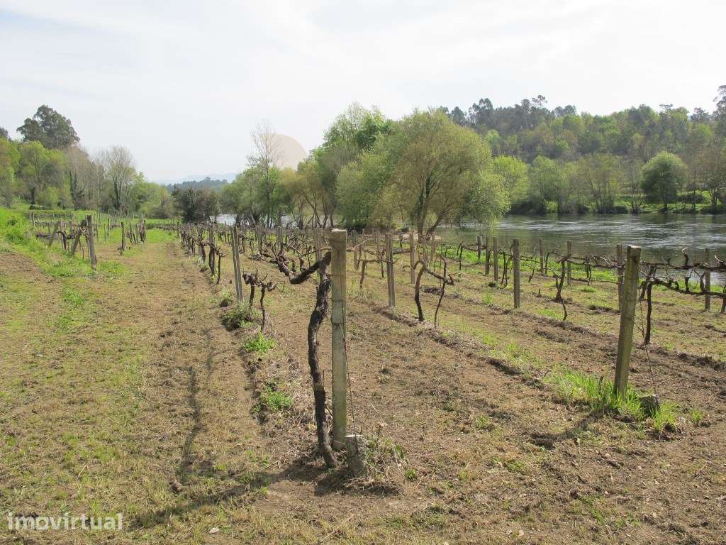 Terreno - Távora; Arcos de Valdevez - Grande imagem: 2/8