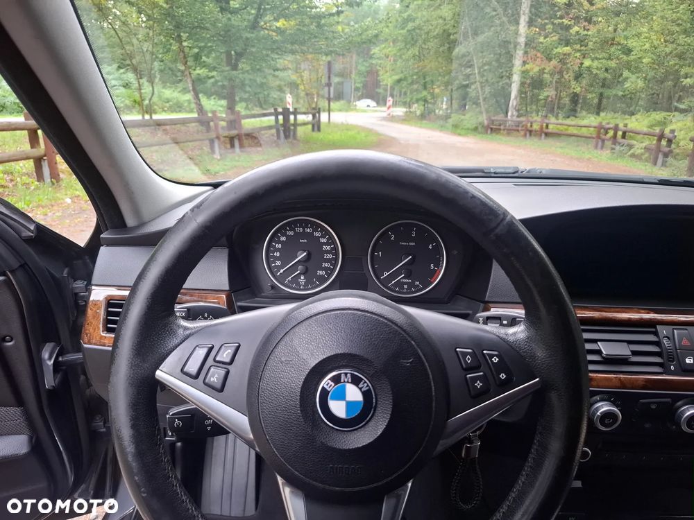 BMW Seria 5 530d xDrive - 20