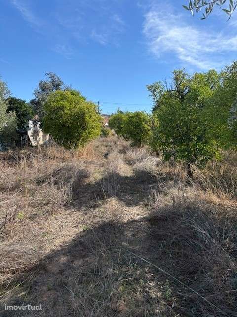 Terreno urbano de 1700m² com ruina no centro da Carregueira - Grande imagem: 3/5