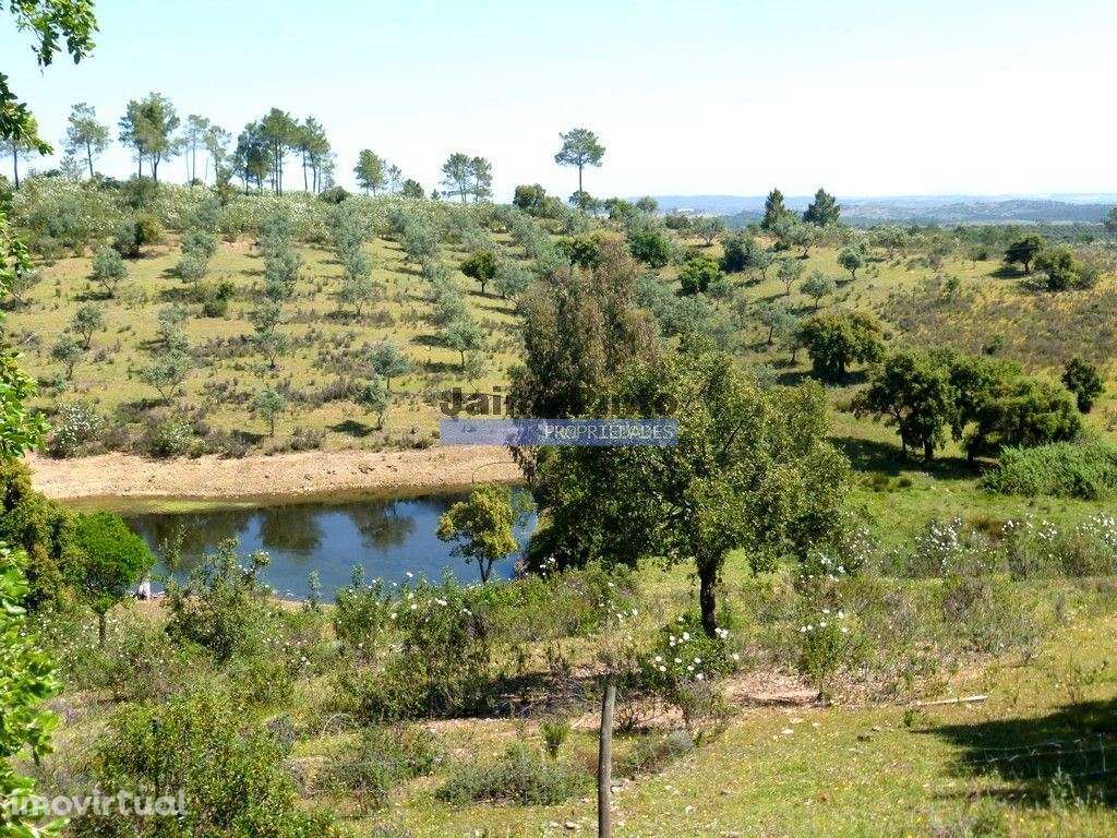 Herdade 800.000m2, Alentejo, Alqueva. Portugal, Portel. - Grande imagem: 3/8
