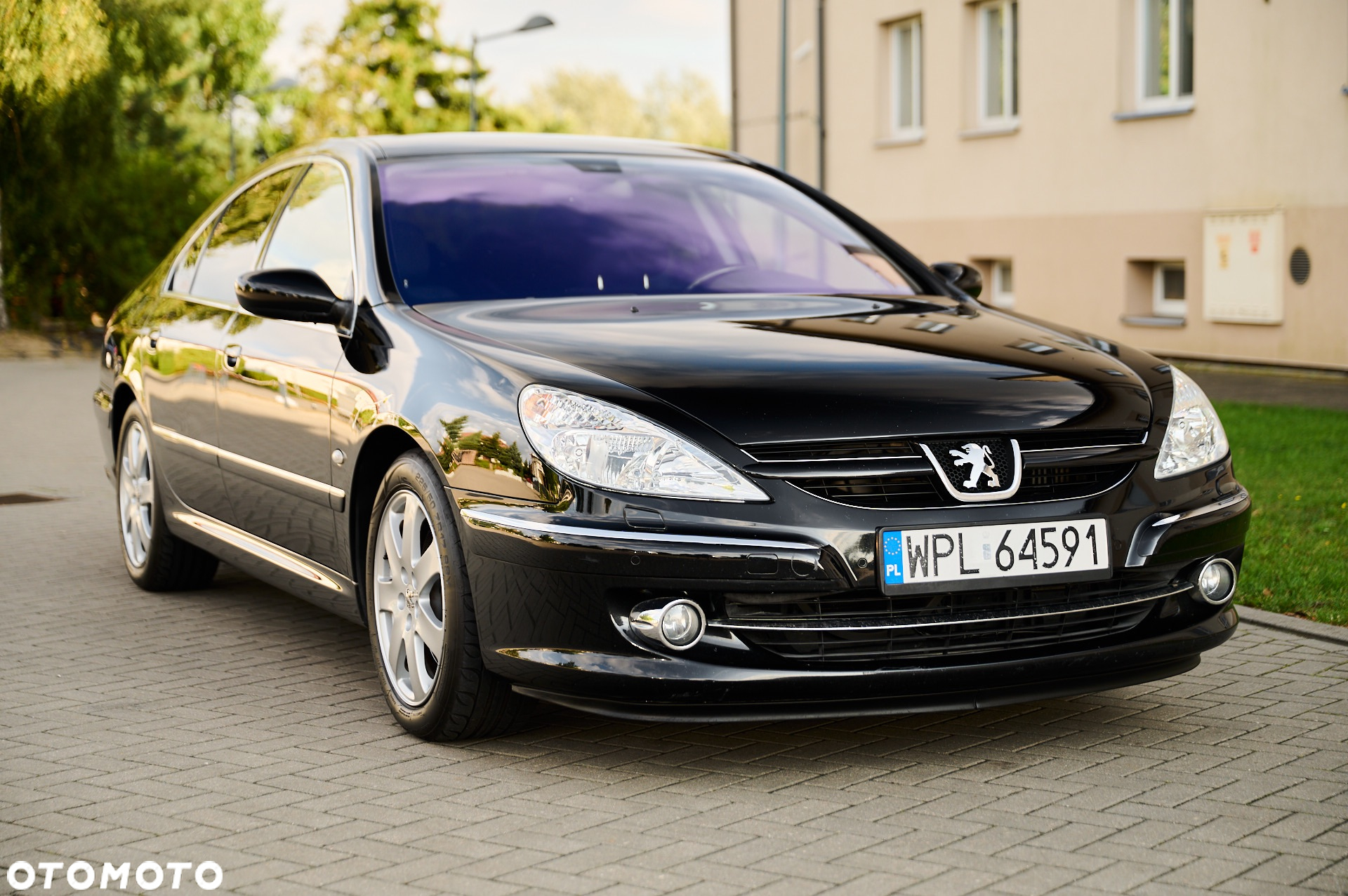 Peugeot 607 - 16