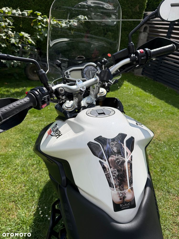 Triumph Tiger - 19