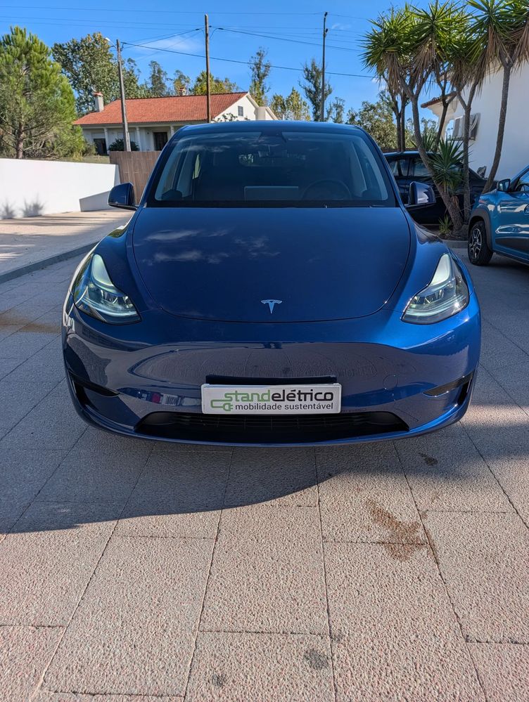 Tesla Model Y Standard