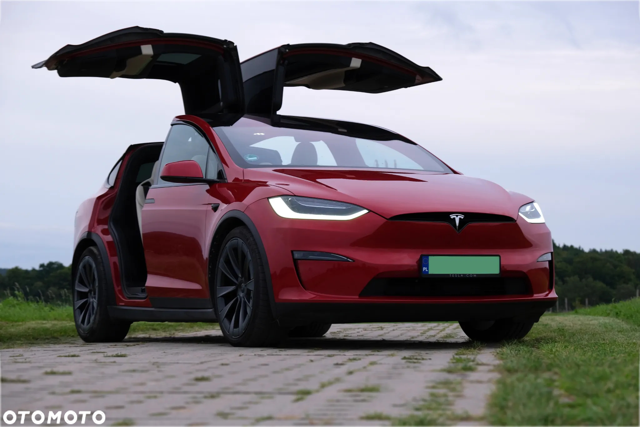 Tesla Model X Plaid - 11