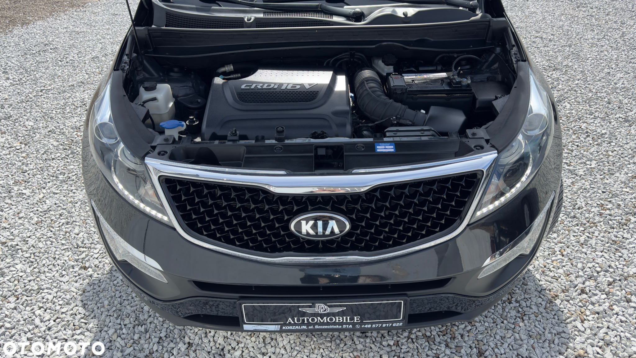 Kia Sportage 2.0 CRDI 184 4WD Fifa World Cup Edition - 28