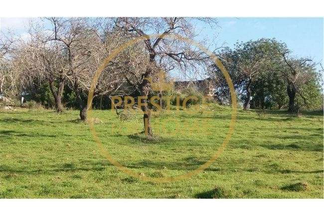 Ruina com Terreno de 18465m2 E FURO registado- vistas impactantes sobr - Grande imagem: 5/13