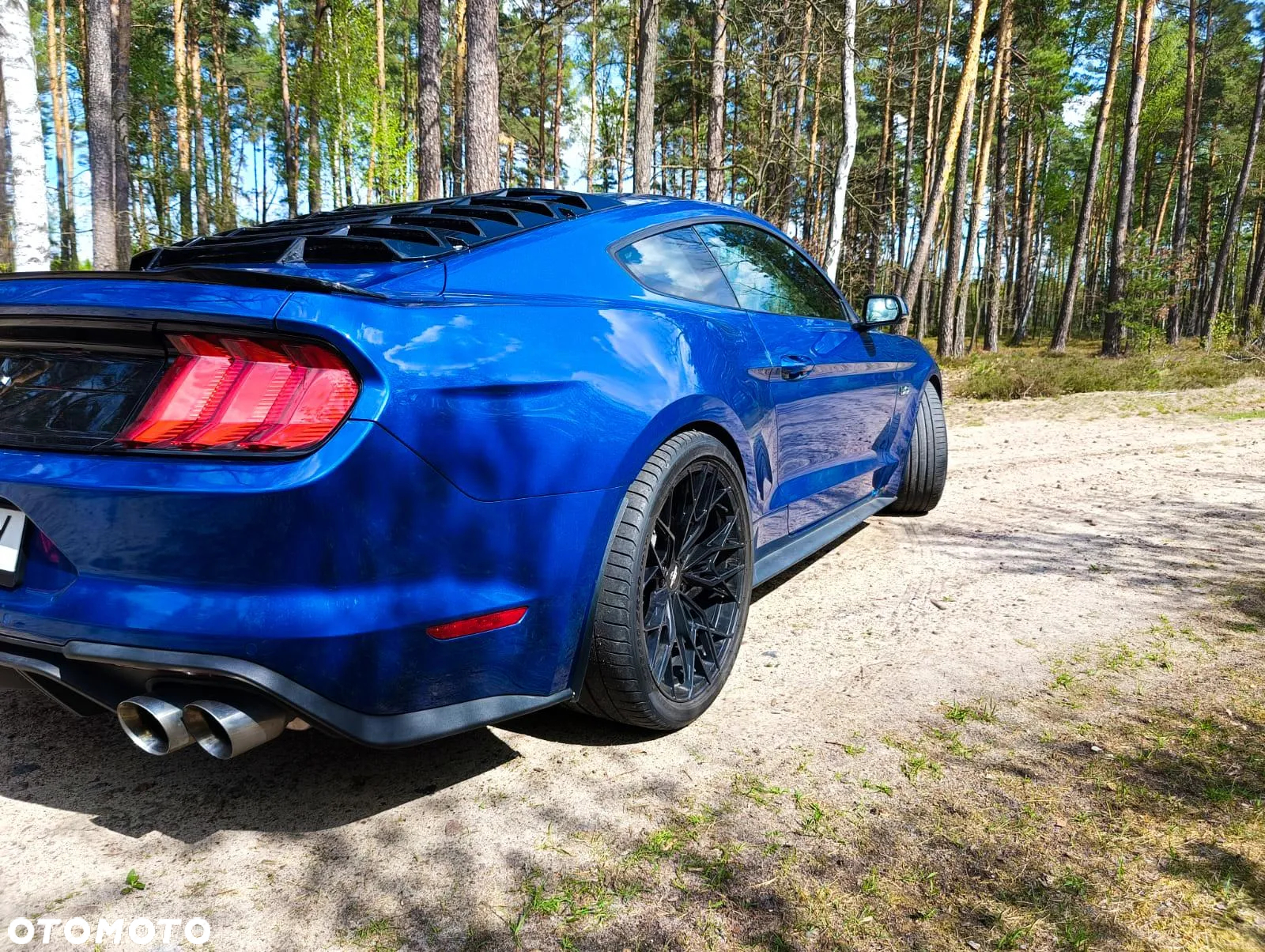Ford Mustang Fastback 5.0 Ti-VCT V8 MACH1 - 12