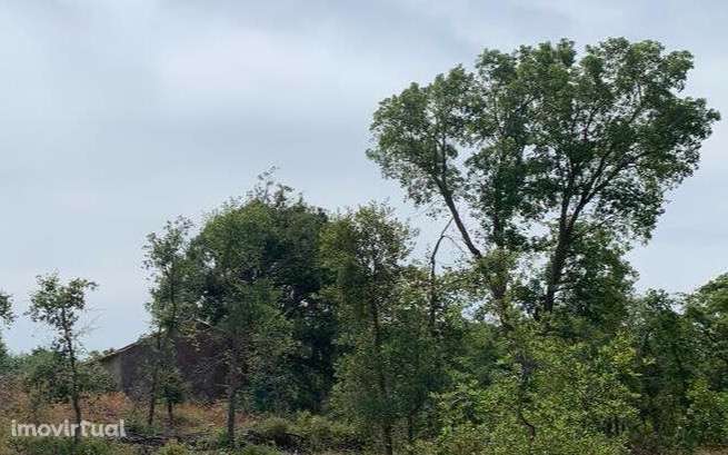 2 Terrenos Rústicos - Grande imagem: 2/5