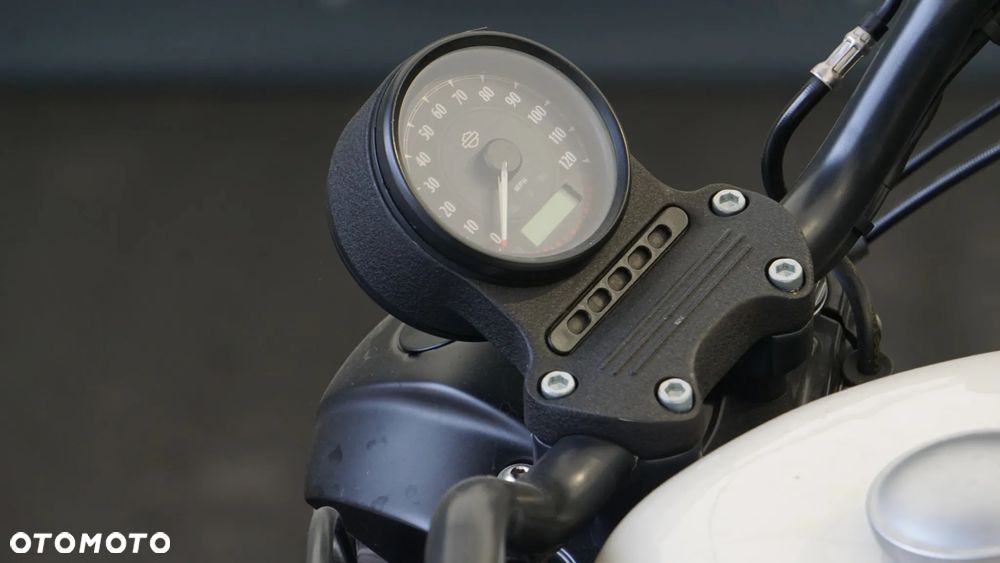 Harley-Davidson Sportster Iron 883 - 19