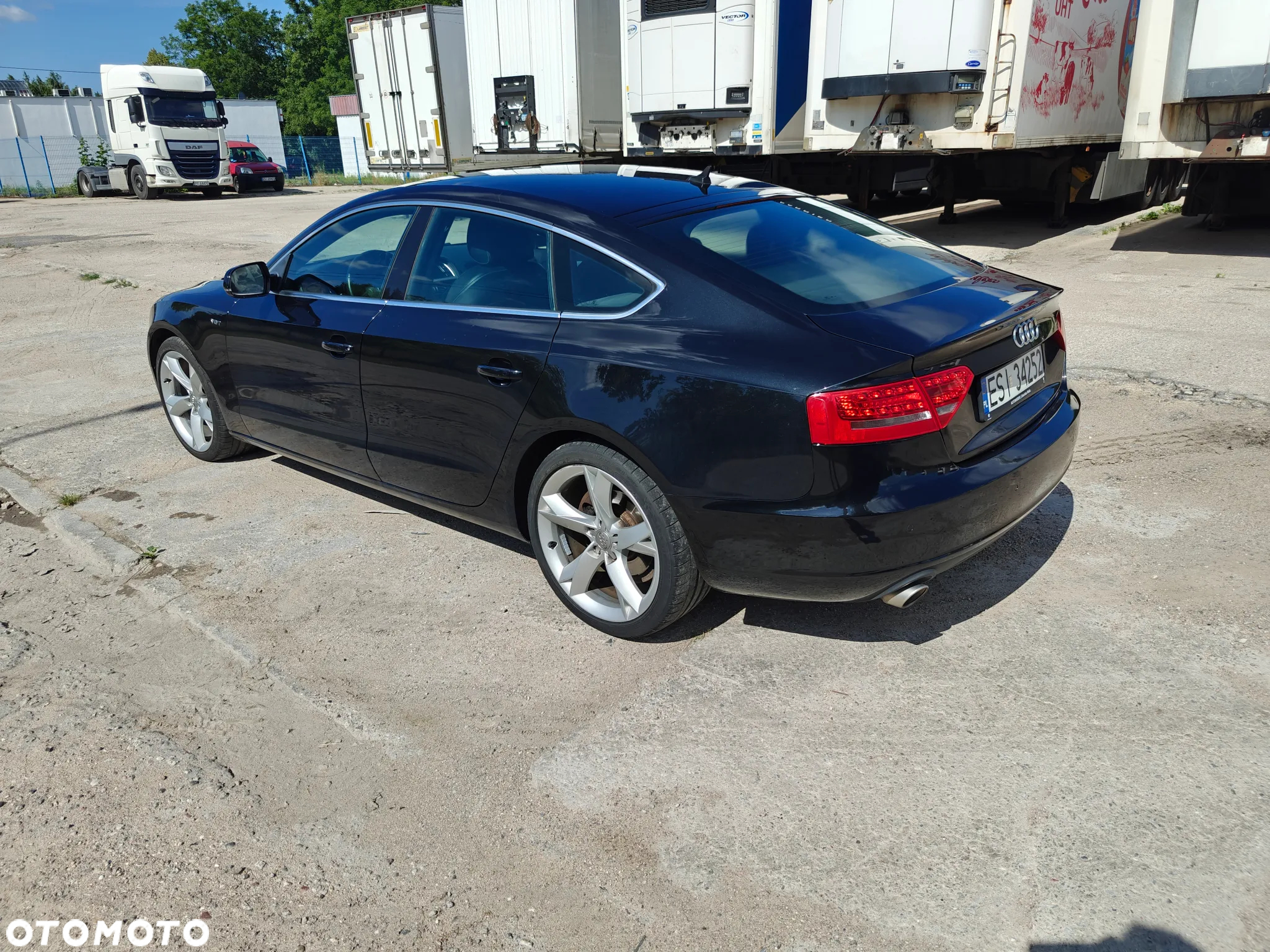 Audi A5 3.0 TDI Sportback quattro DPF S tronic - 3