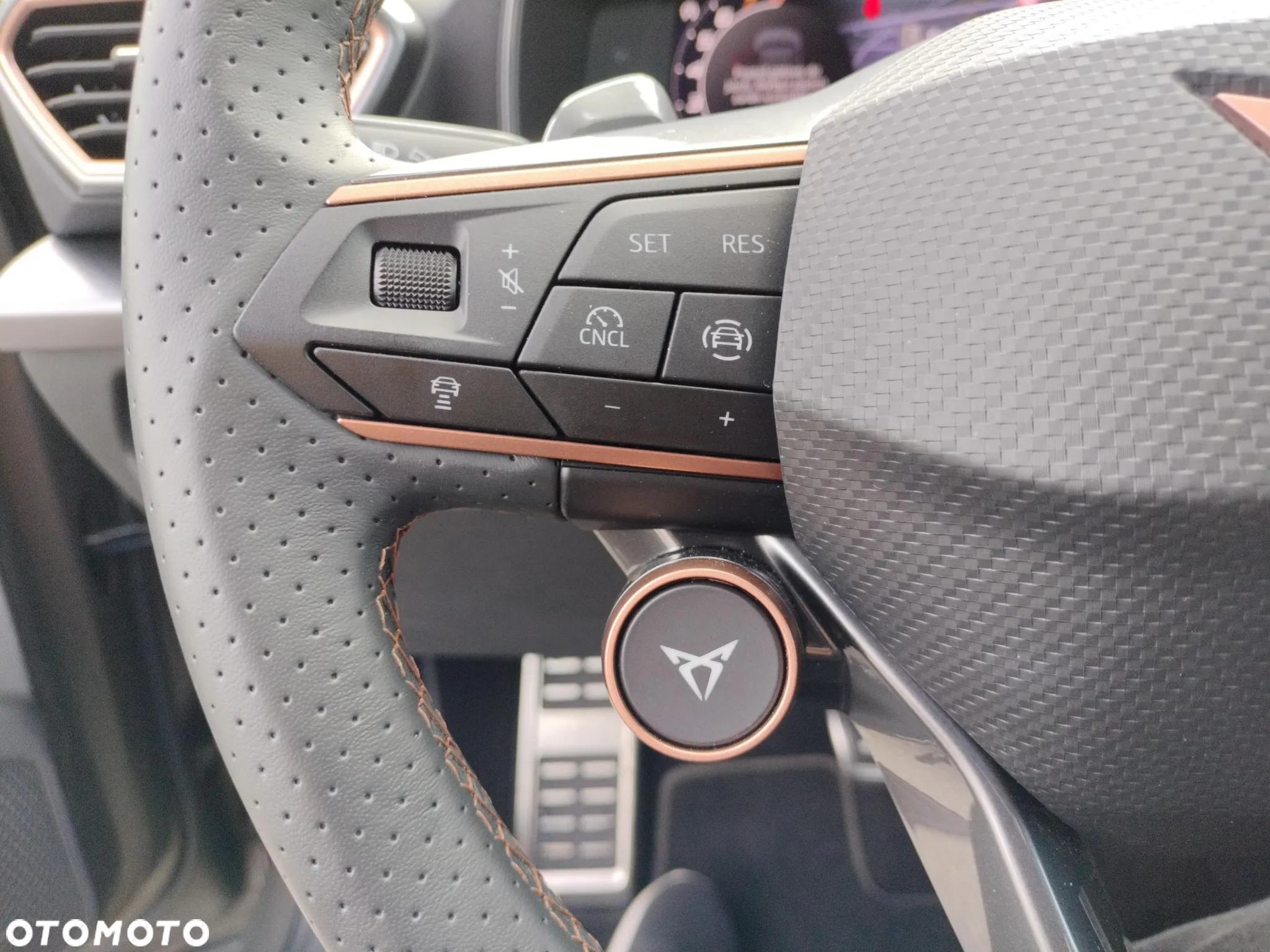 Cupra Formentor 1.5 TSI DSG - 25