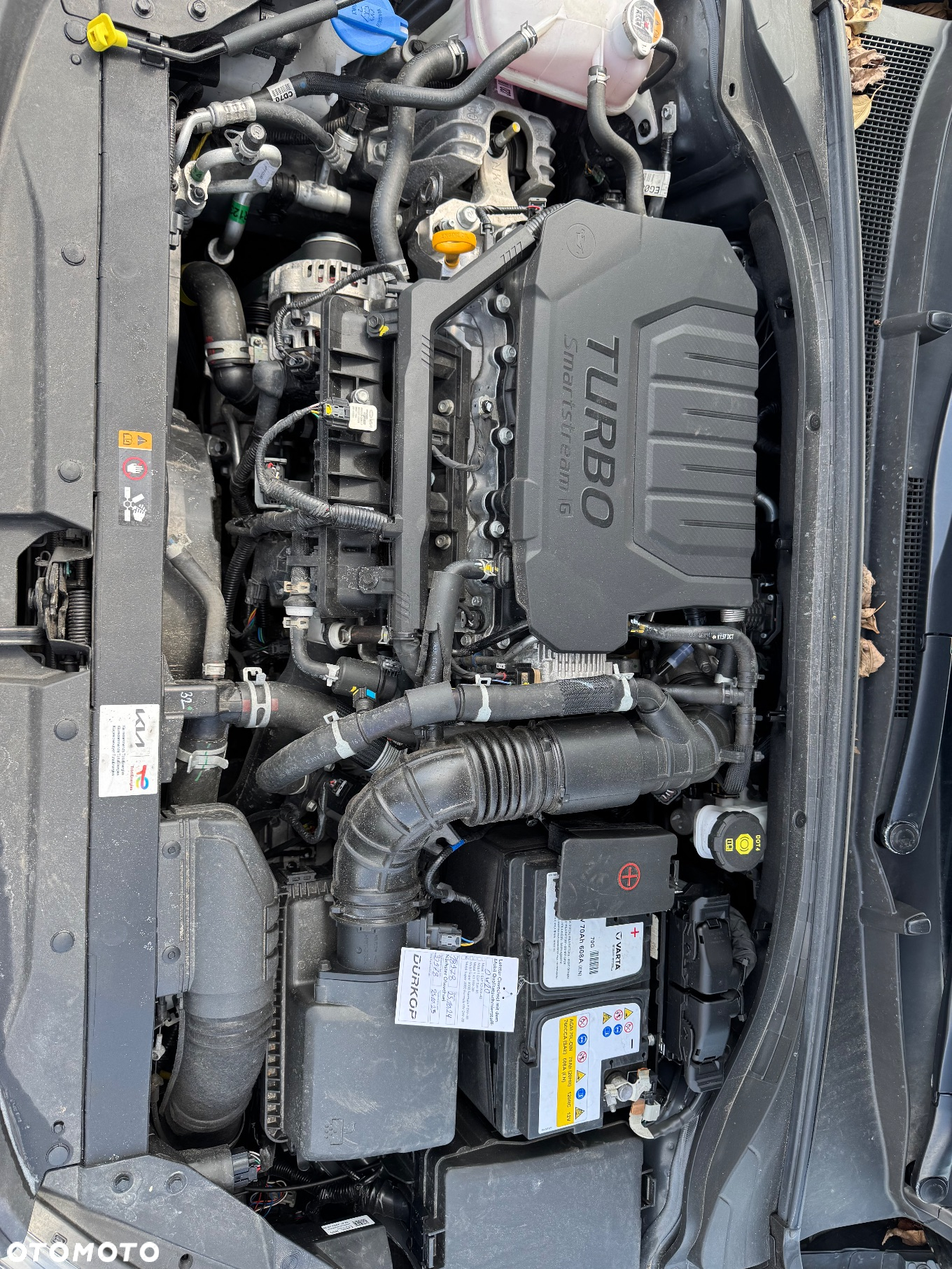 Kia ProCeed 1.5 T-GDI GT Line DCT - 31