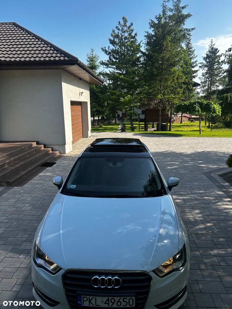 Audi A3 3-drzwiowe 1.6 TDI 99g DPF - 2