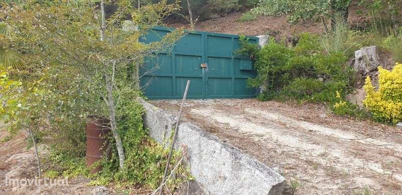 Quintinha terreno jazente Amarante - Grande imagem: 4/11