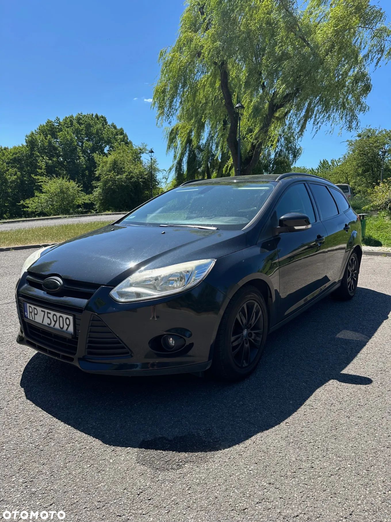 Ford Focus 1.6 TDCi Trend - 1