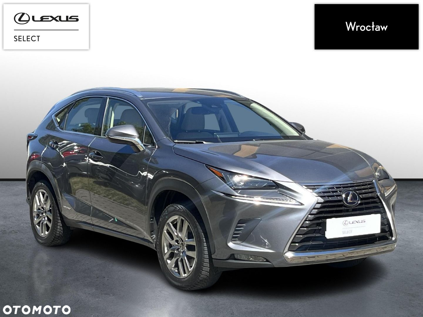 Lexus NX - 7